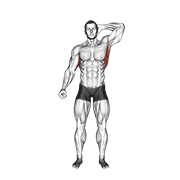 آموزش اجرای حرکت کشش ایستاده