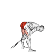 آموزش اجرای حرکت کش پول ترو