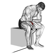 آموزش اجرای حرکت مچ دست کش