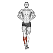آموزش اجرای حرکت مچ پا دایره